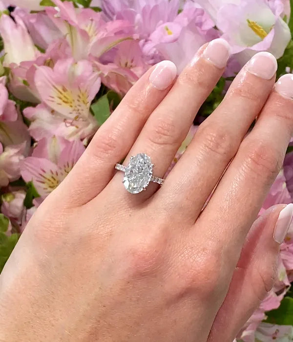 Cathedral Hidden Halo and Pavé Band Diamond Ring