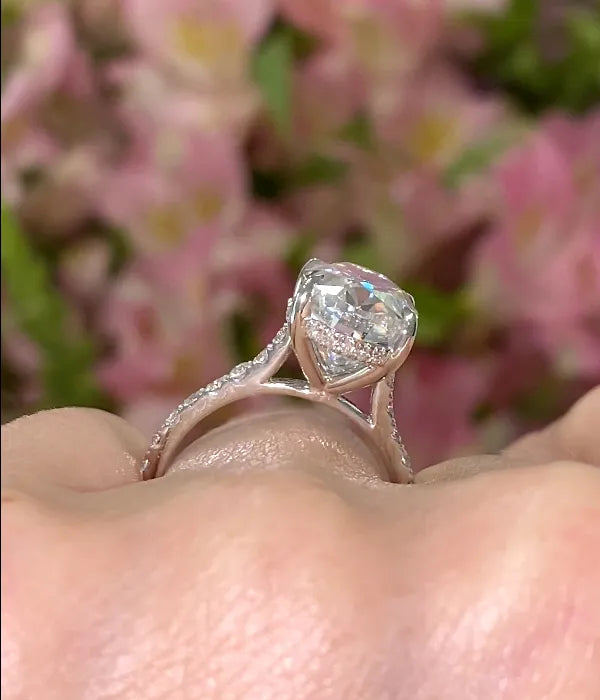 Cathedral Hidden Halo and Pavé Band Diamond Ring