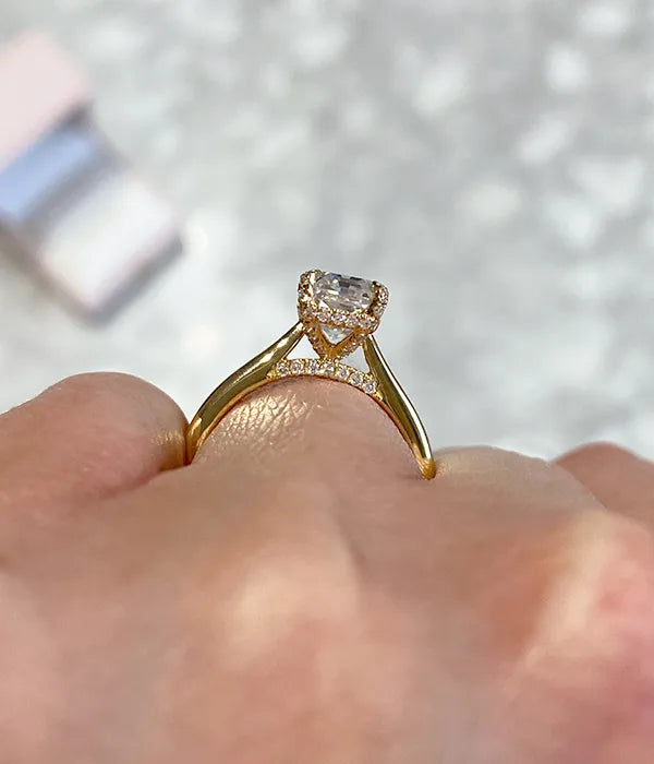 Cathedral Pavé Basket and Bridge Engagement Ring