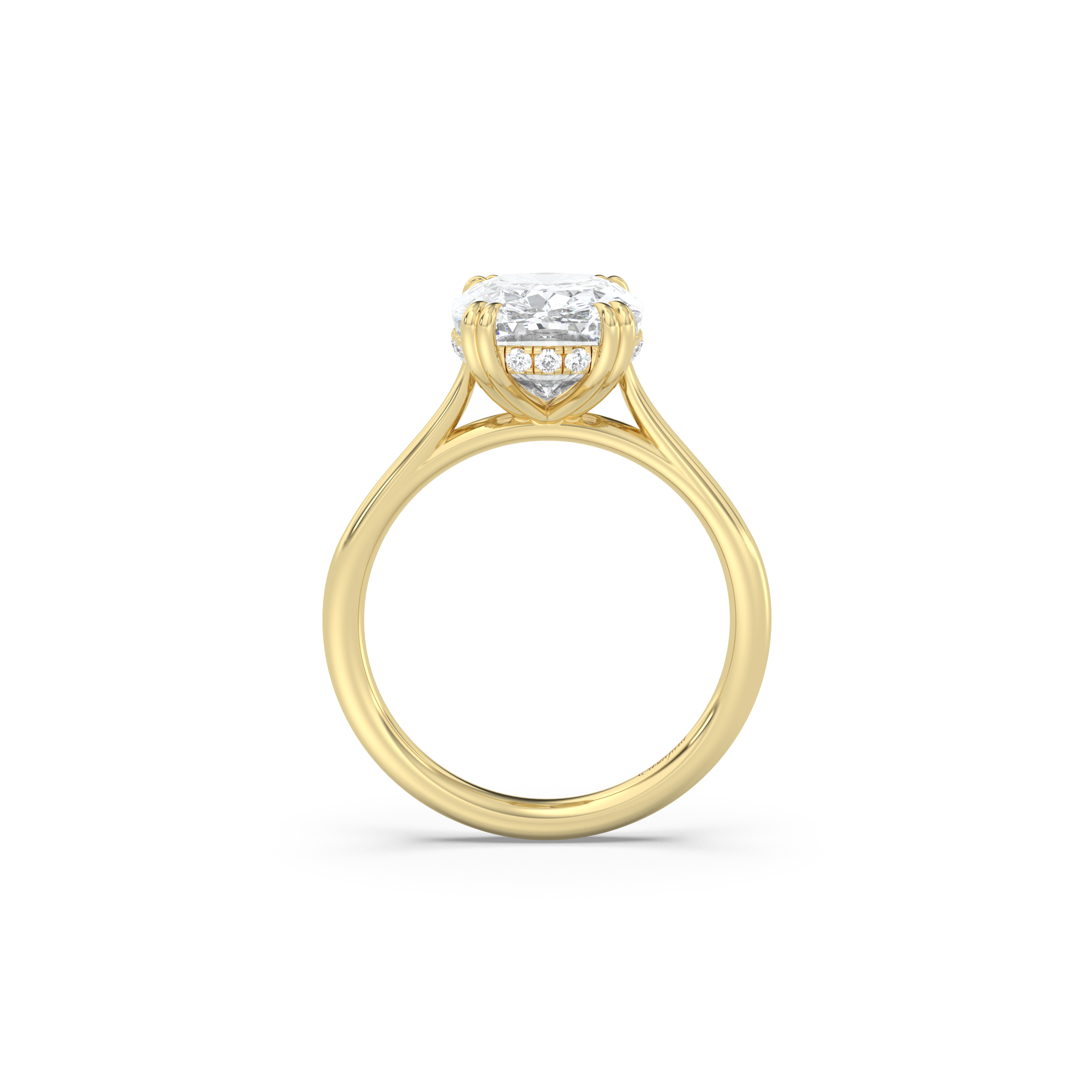 Cathedral Double Prong Hidden Halo Diamond Ring