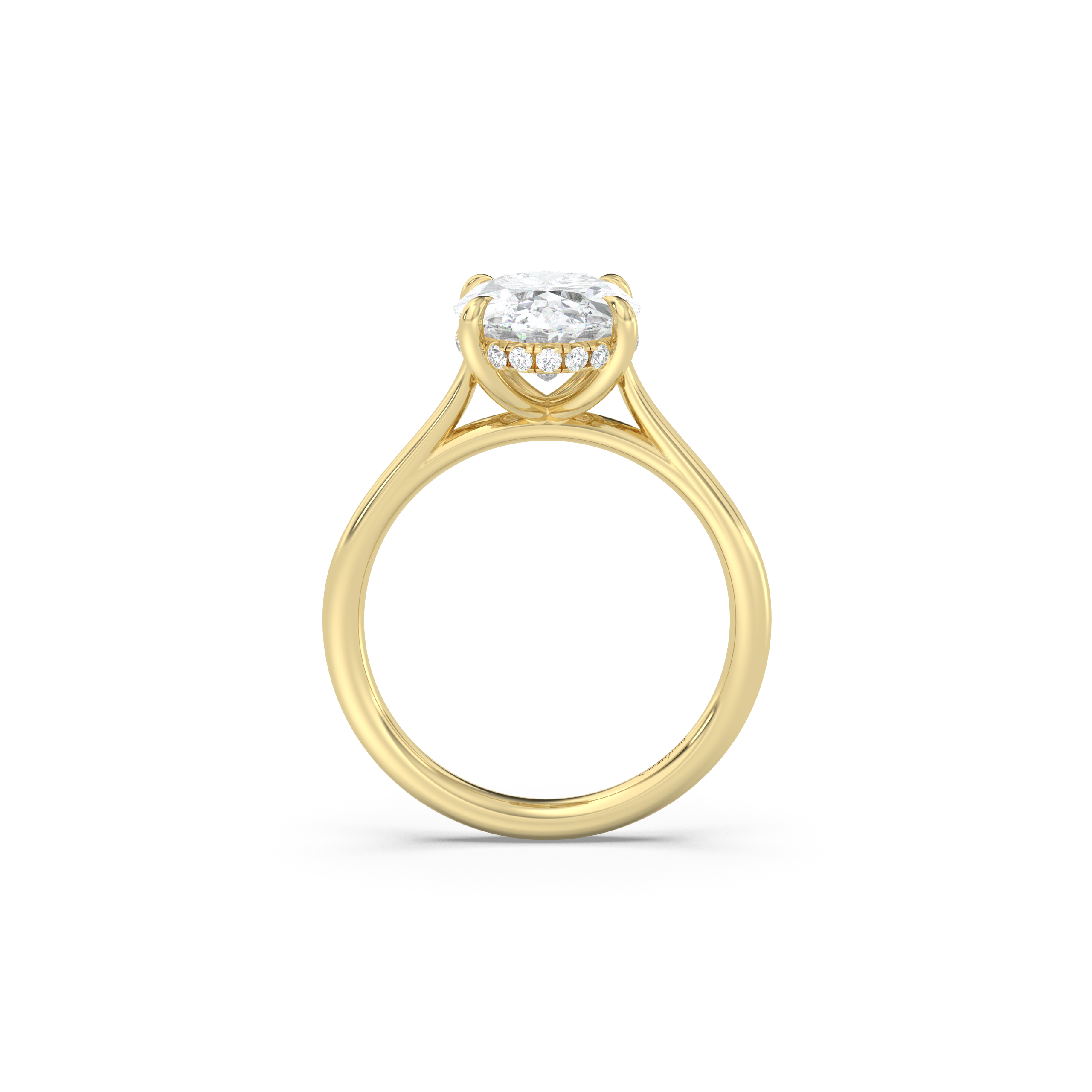 Cathedral Hidden Halo Engagement Ring