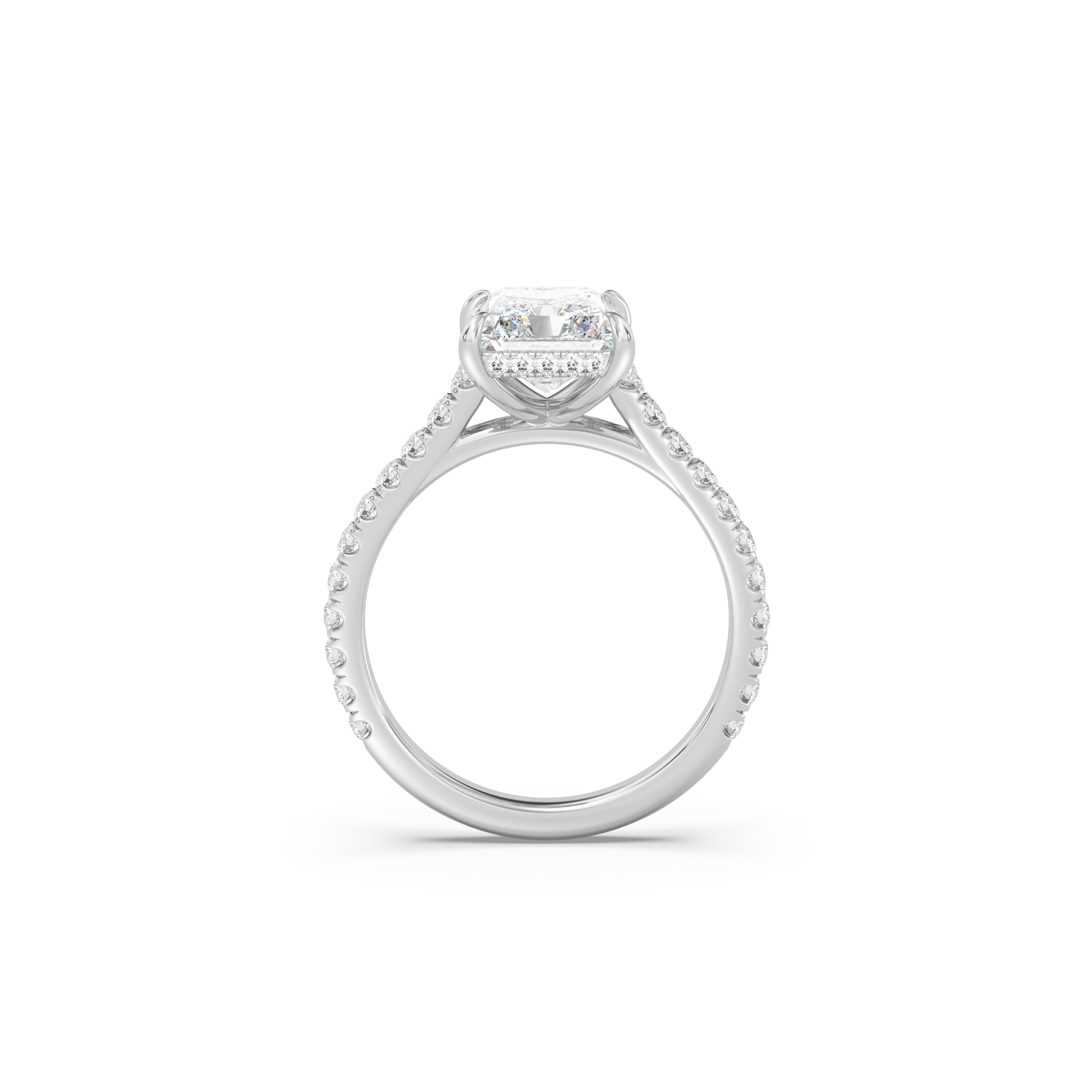 Cathedral Hidden Halo and Pavé Band Moissanite Engagement Ring