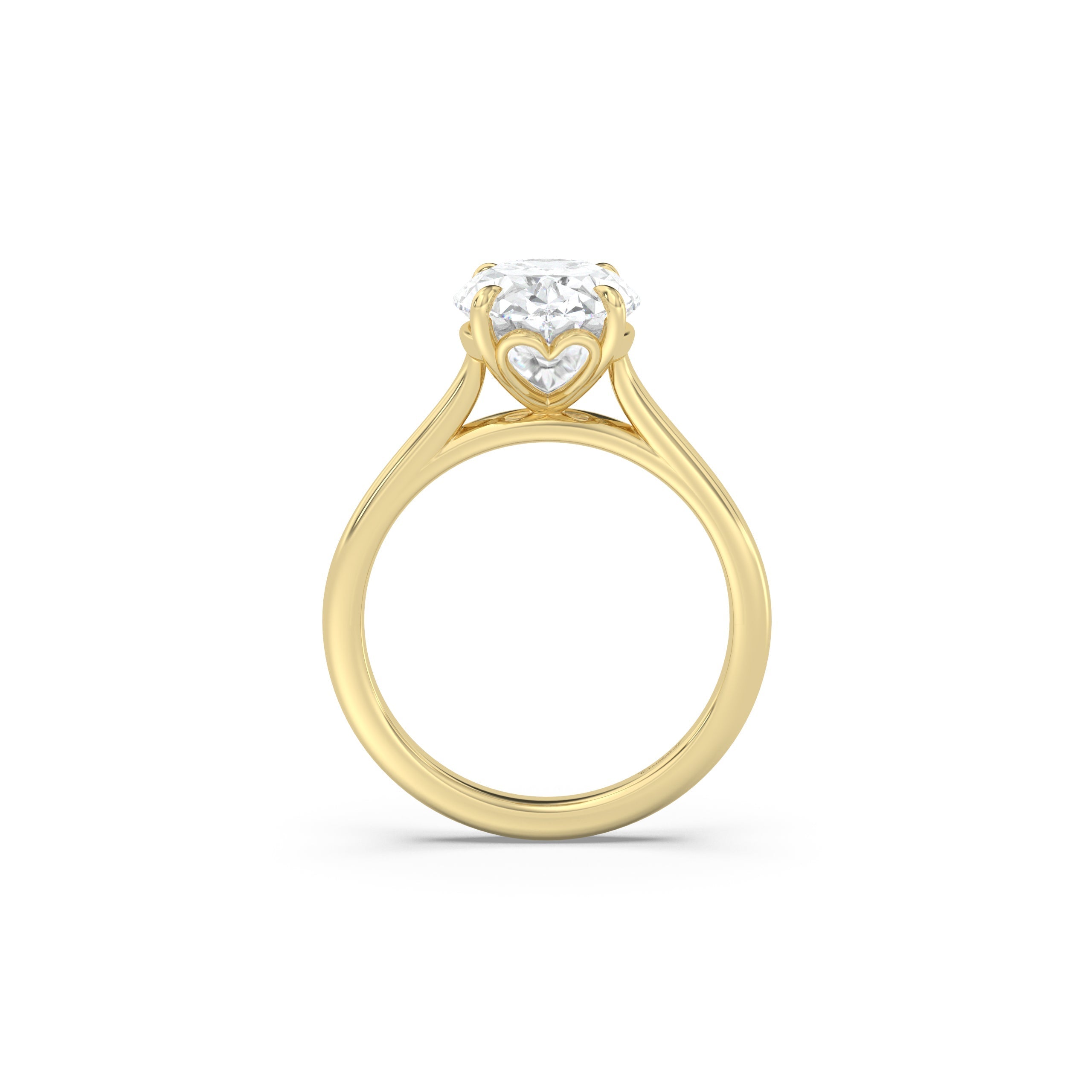 Completed Ring (United States Size 8.00)