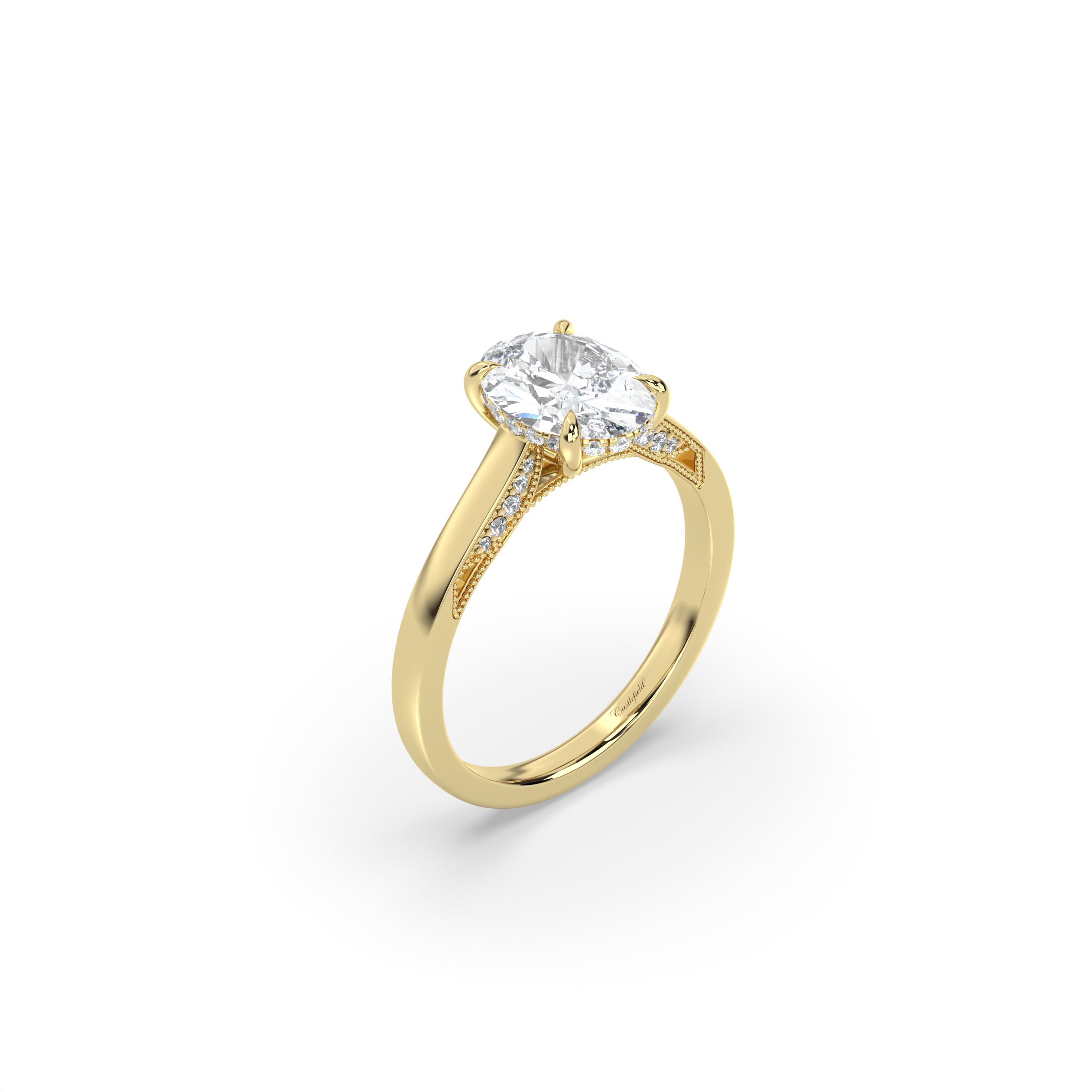 Signature Cathedral Inlaid Stone Hidden Halo Engagement Ring