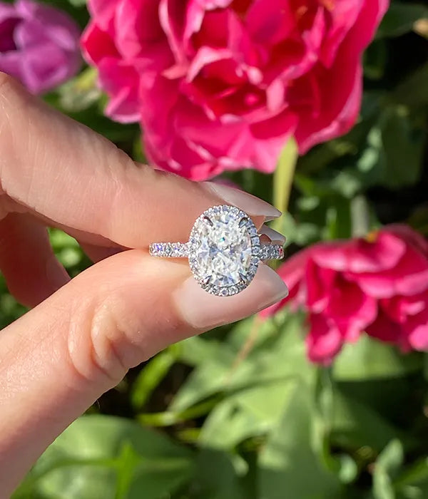 Classic Halo and Pavé Band Diamond Ring Setting