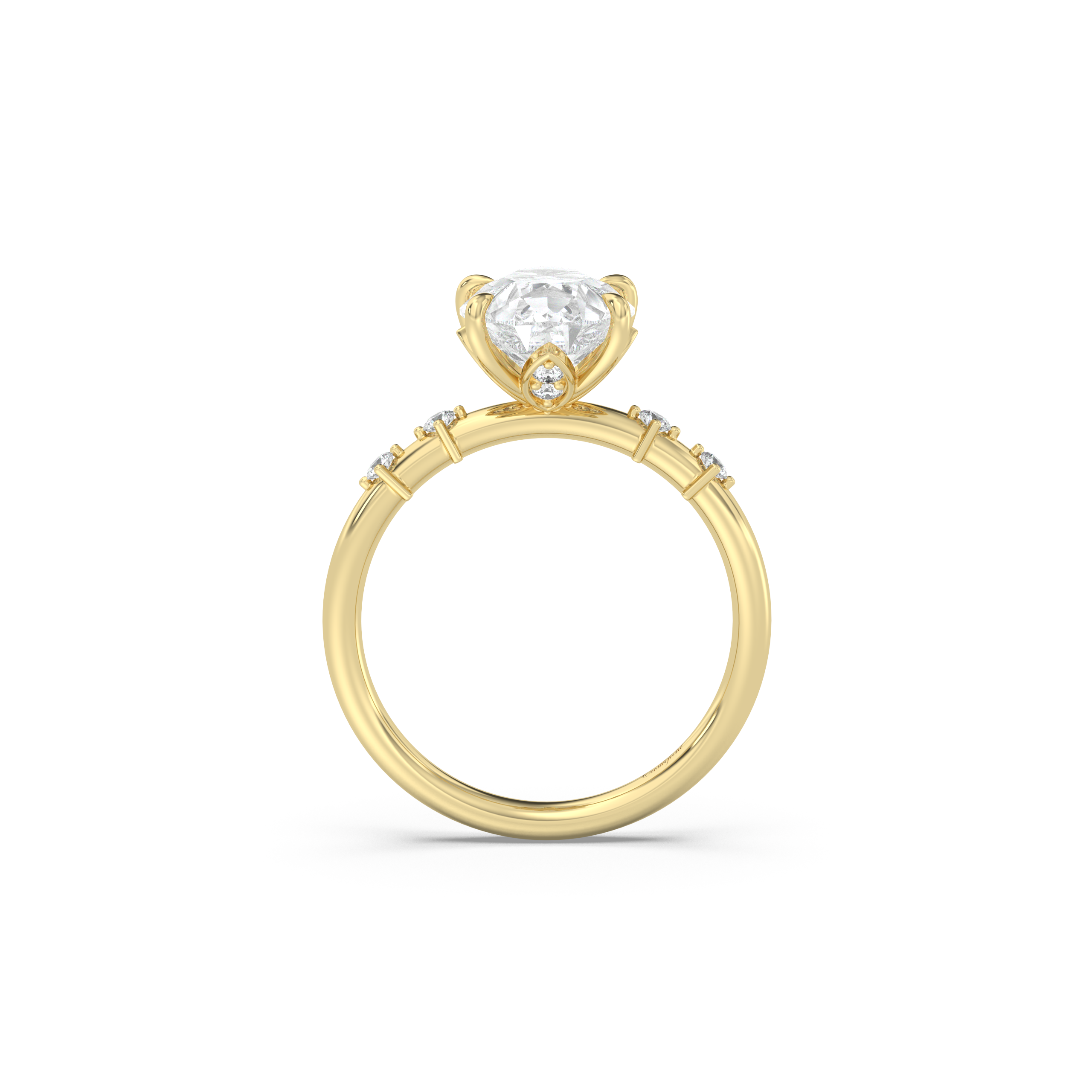 Petite Secret Garden and Accent Stone Band Diamond Ring