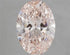 2.55ct Oval Lab Grown Diamond (Colour Fancy Intense Pink, Clarity VVS2, IGI Certified)