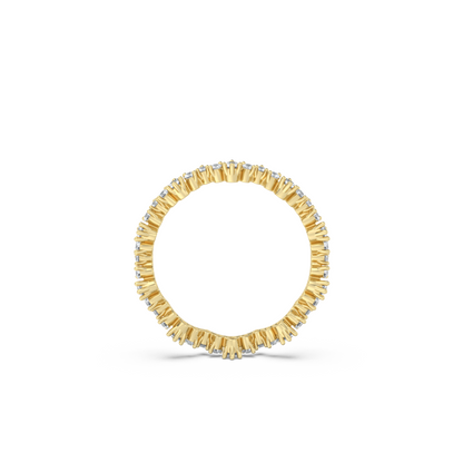 Exceptional Scalloped Band