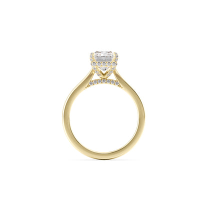 Cathedral Pavé Basket and Bridge Engagement Ring