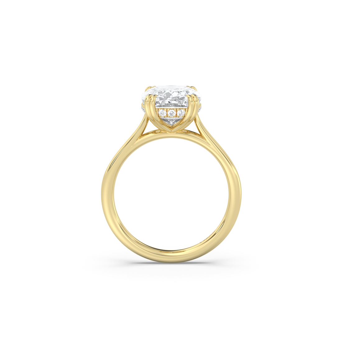 Cathedral Double Prong Hidden Halo Diamond Ring