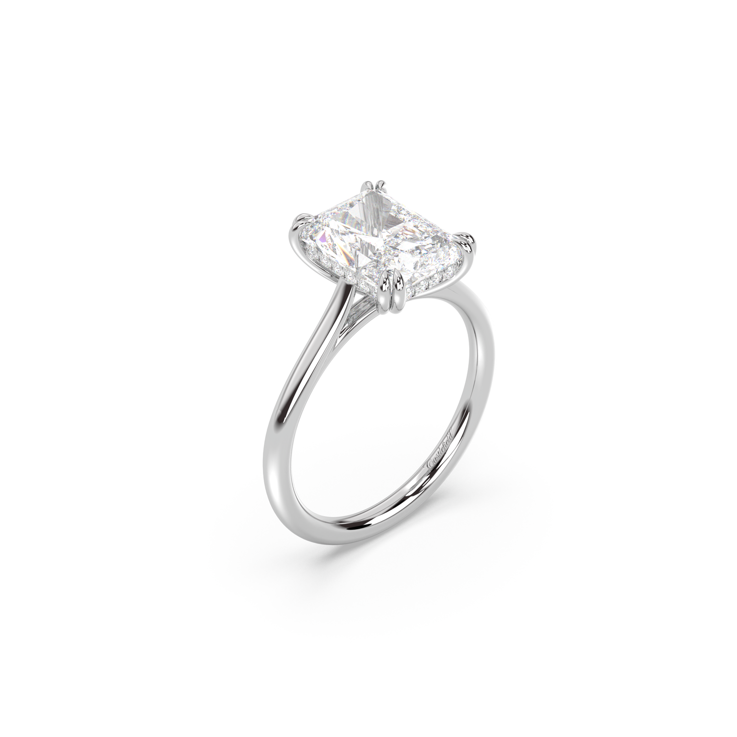 Cathedral Double Prong Hidden Halo Engagement Ring
