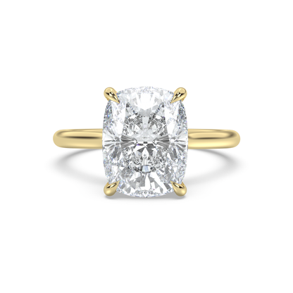 Cathedral Hidden Halo Engagement Ring