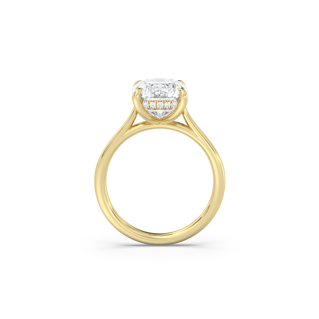 Completed Ring (United States Size Not Sure)
