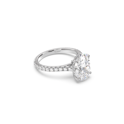 Cathedral Hidden Halo and Pavé Band Engagement Ring