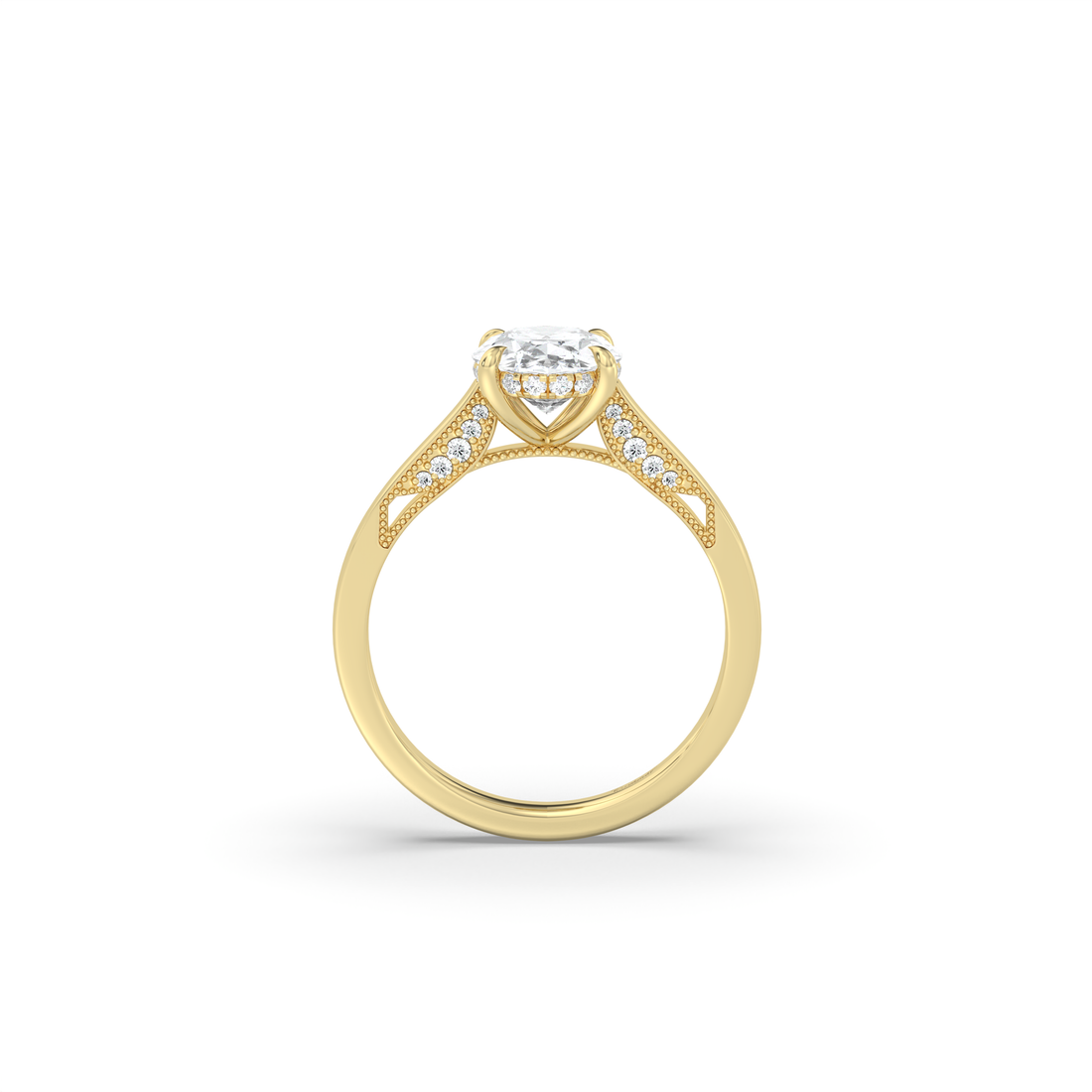 Signature Cathedral Inlaid Stone Hidden Halo Engagement Ring