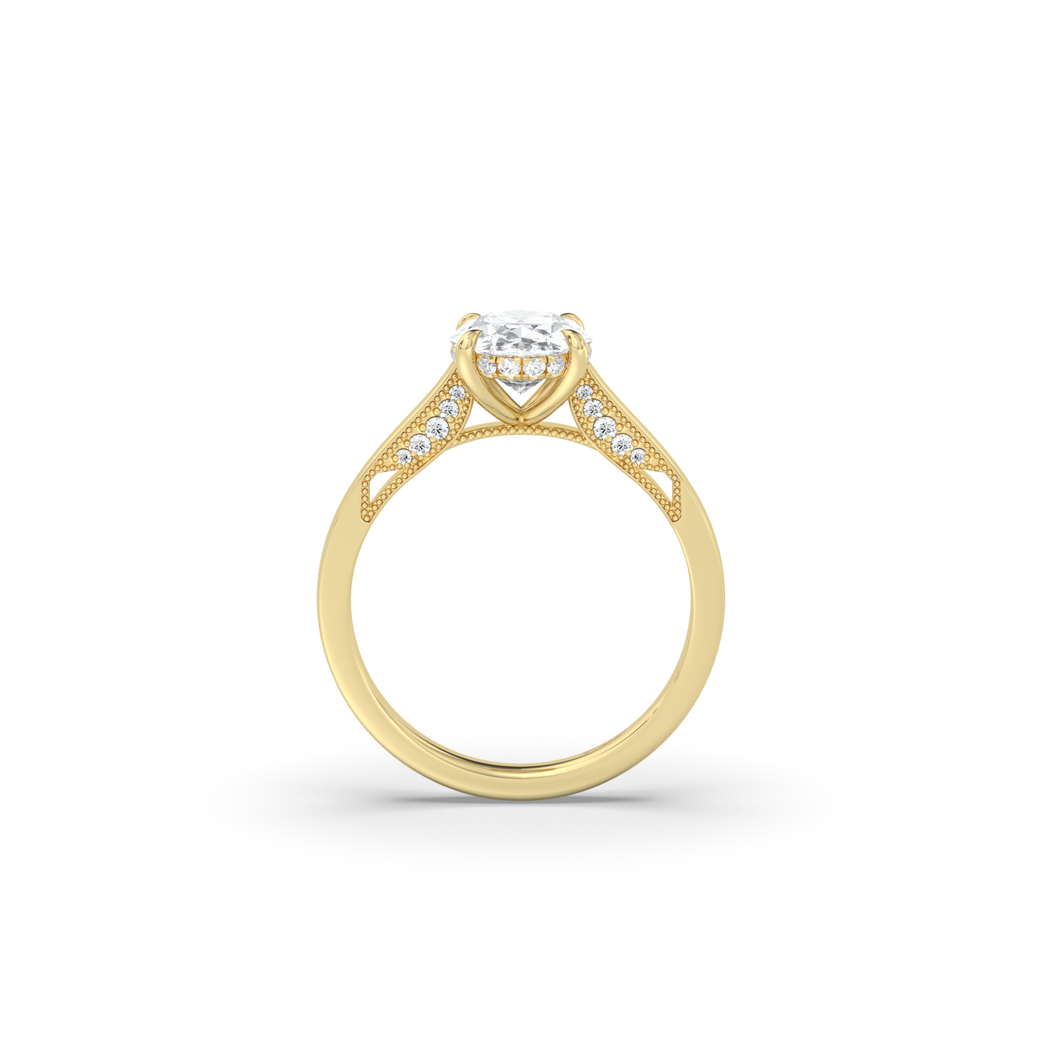 Signature Cathedral Inlaid Stone Hidden Halo Engagement Ring