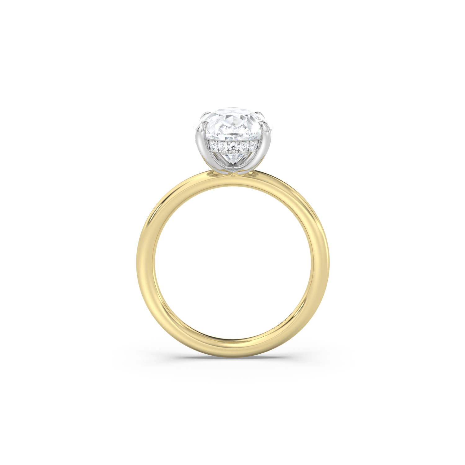 Classic Two-Tone Hidden Halo Moissanite Engagement Ring