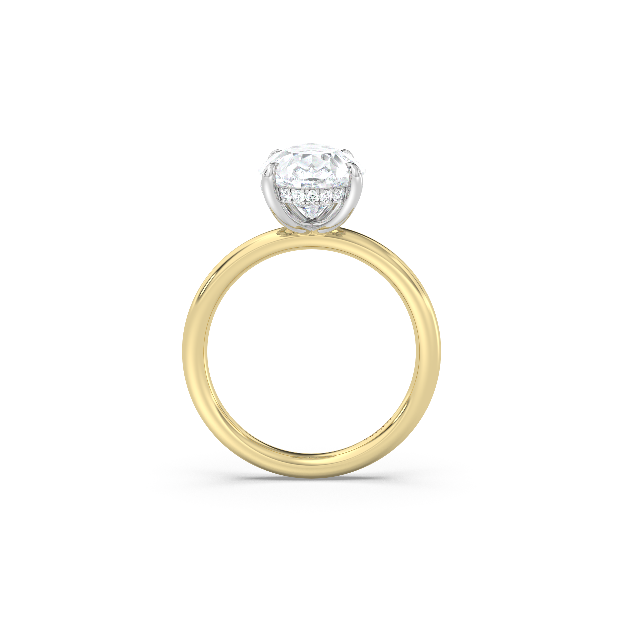Classic Two-Tone Hidden Halo Moissanite Engagement Ring