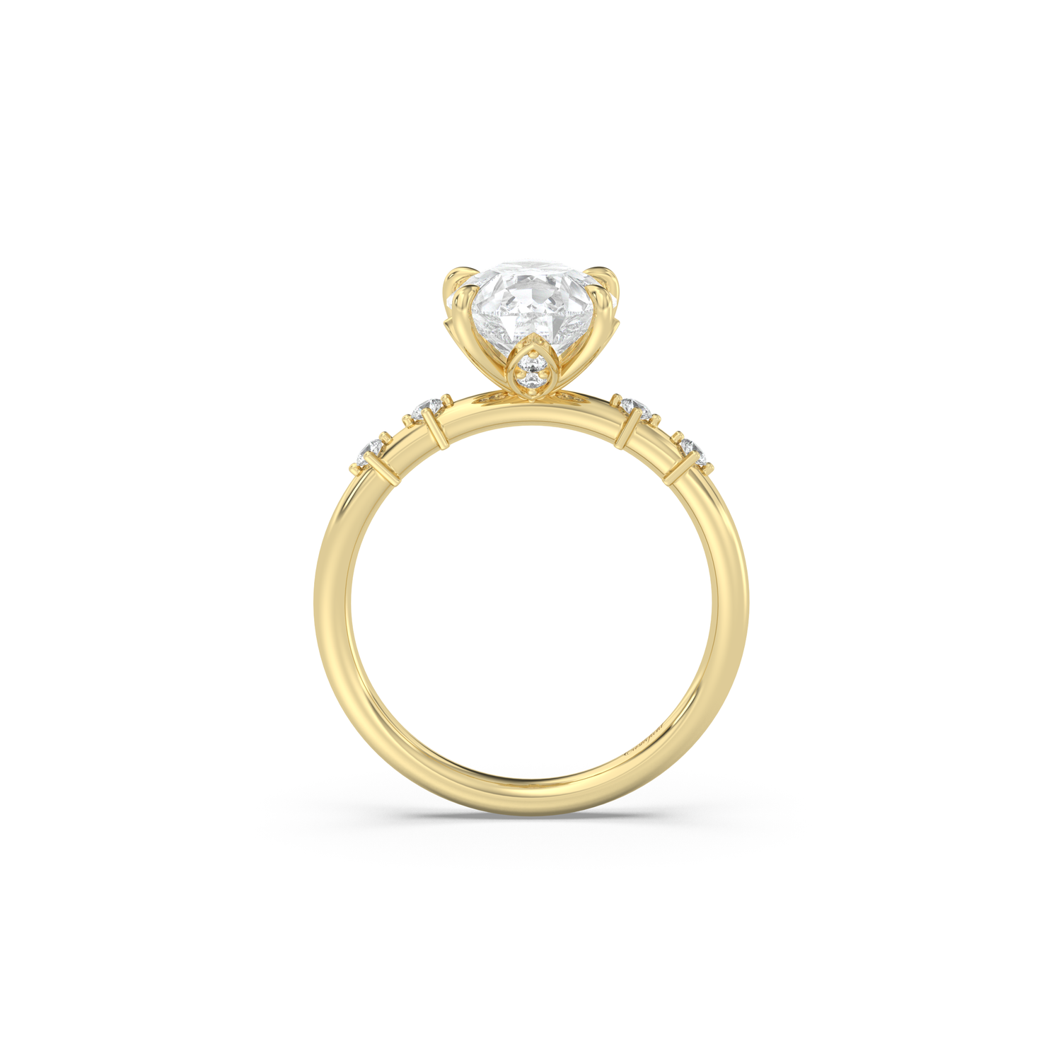 Petite Secret Garden and Accent Stone Band Engagement Ring