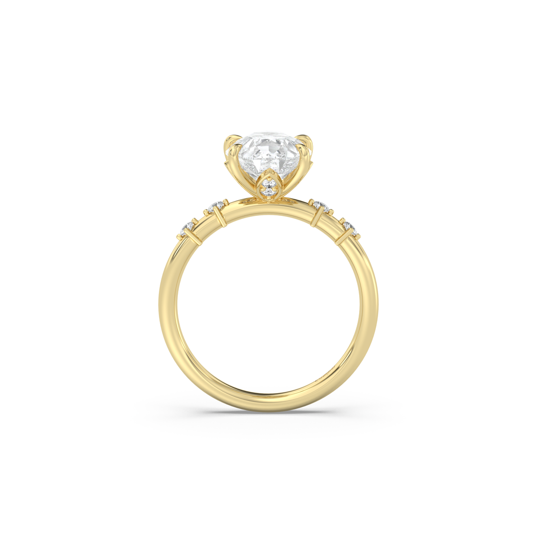 Petite Secret Garden and Accent Stone Band Diamond Ring