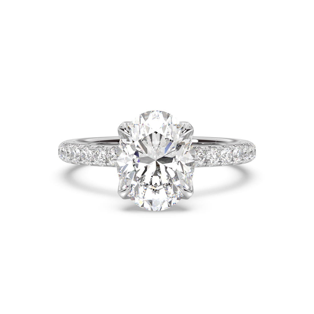 Secret Garden Pavé Band Engagement Ring